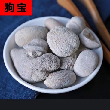 狗宝狗蛋子狗黄金狗结石统货选货各种规格