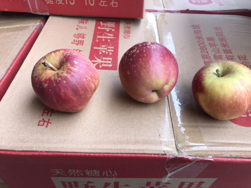 纯野生果·12斤15斤箱装～数量有限