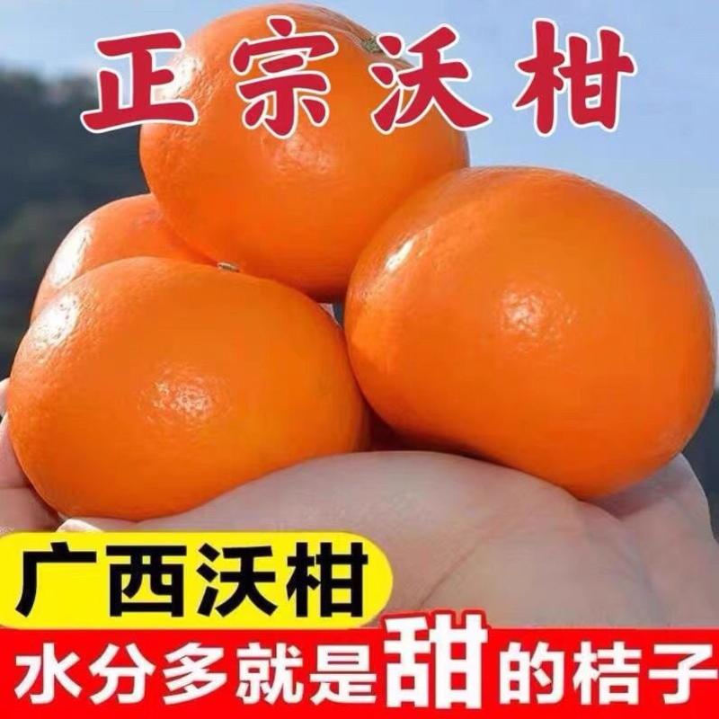 广西武鸣沃柑水果应季新鲜橘子整箱批发桔子贵妃柑橘非皇帝柑
