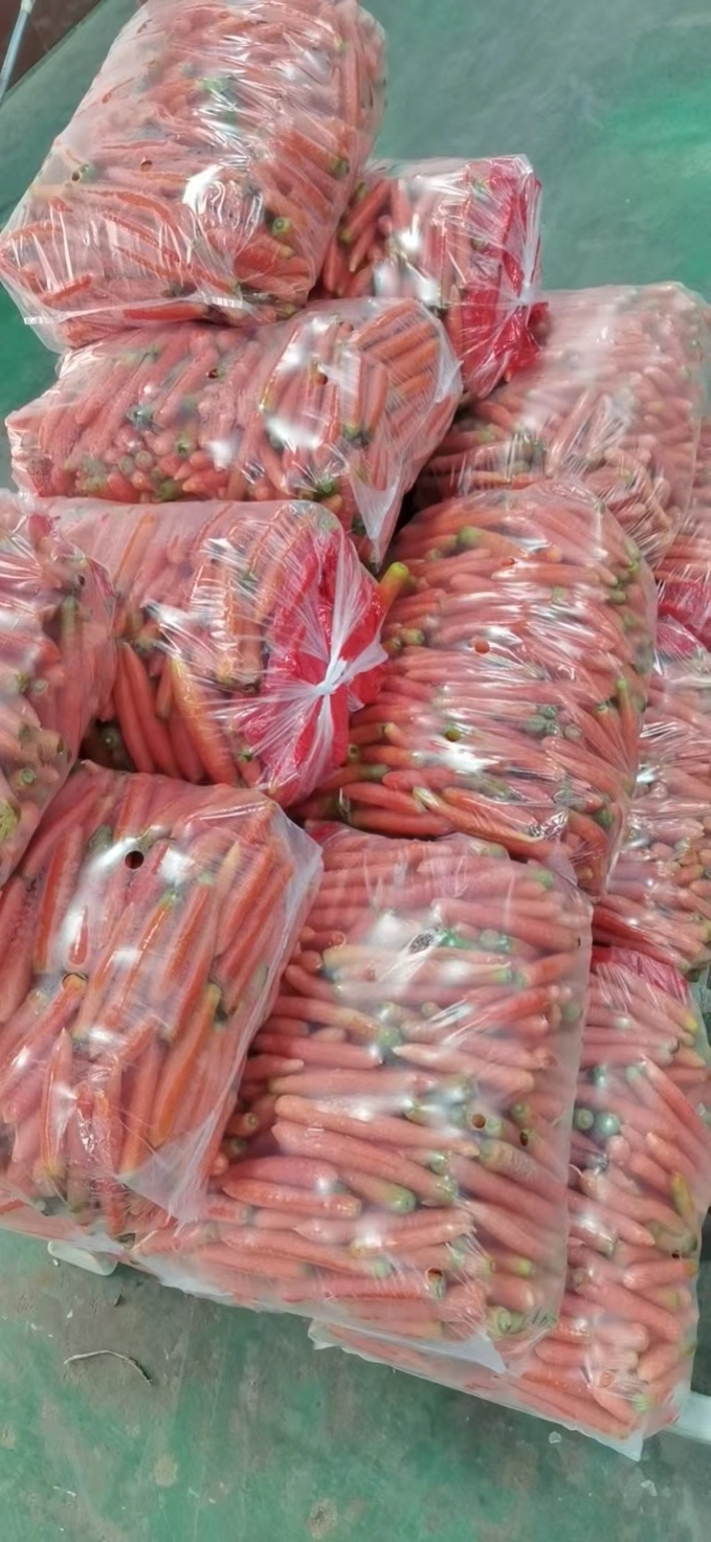 红萝卜，常年都有，牛羊都可以用