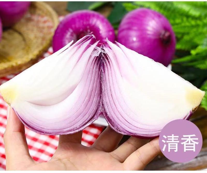 【10斤特价】新鲜紫皮洋葱农家自种10斤圆葱头水果洋葱