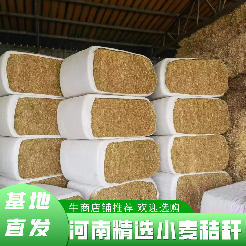 【推荐】小麦秸秆牛羊牧草饲料干草牛羊草料大量供应