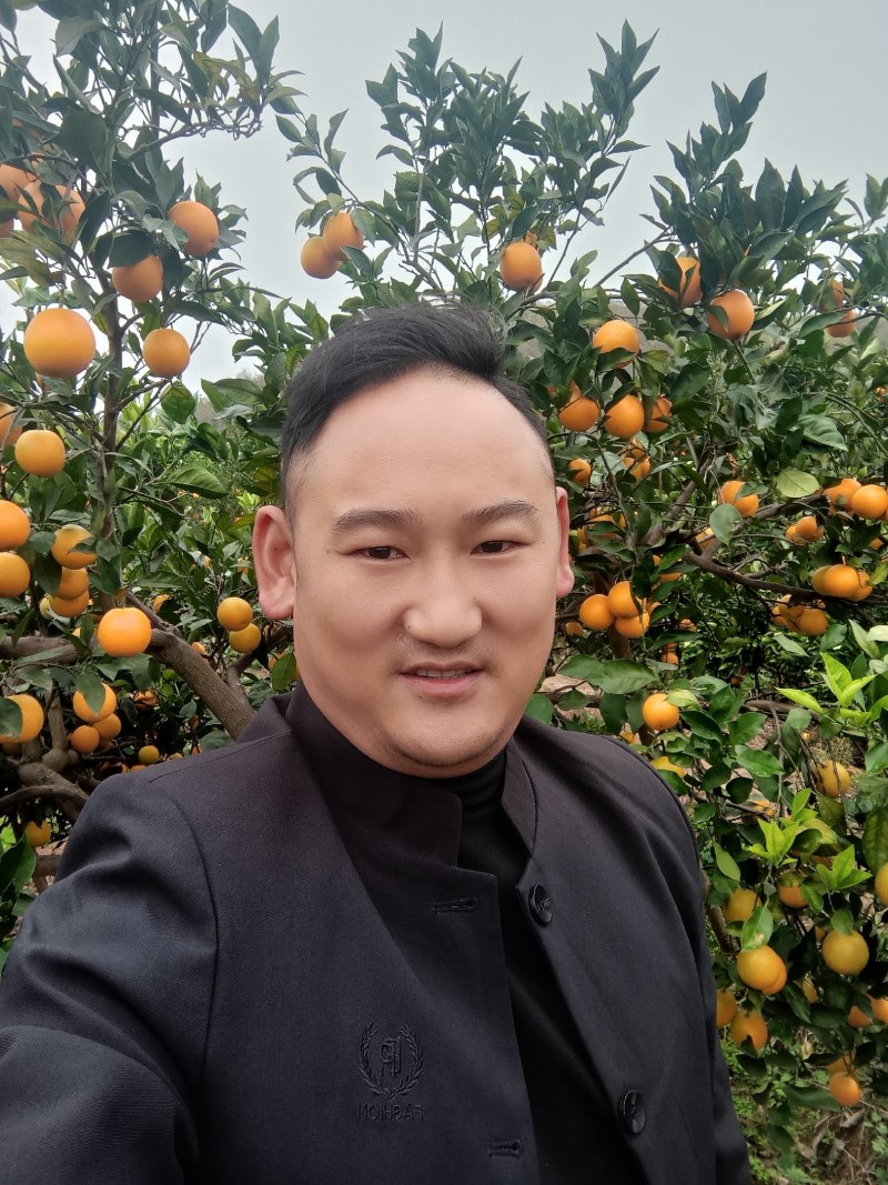 麻阳冰糖橙大量上市，欢迎五湖四海的客商来电预订。