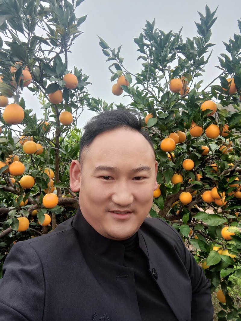 麻阳冰糖橙大量上市，欢迎五湖四海的客商来电预订。