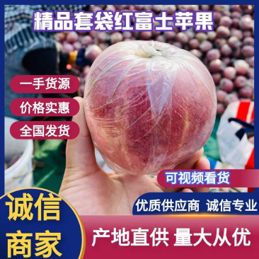 红富士苹果，冰糖心苹果，脆甜爆汁，供应电商，批发零售