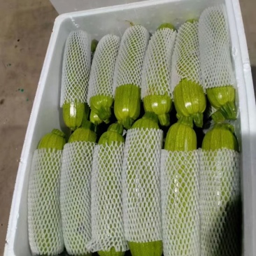 各类蔬菜都可以提供