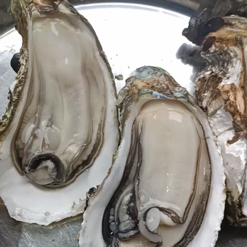 钦州大蚝（天然白蚝，零投料，咸淡水，够肥，口感好）