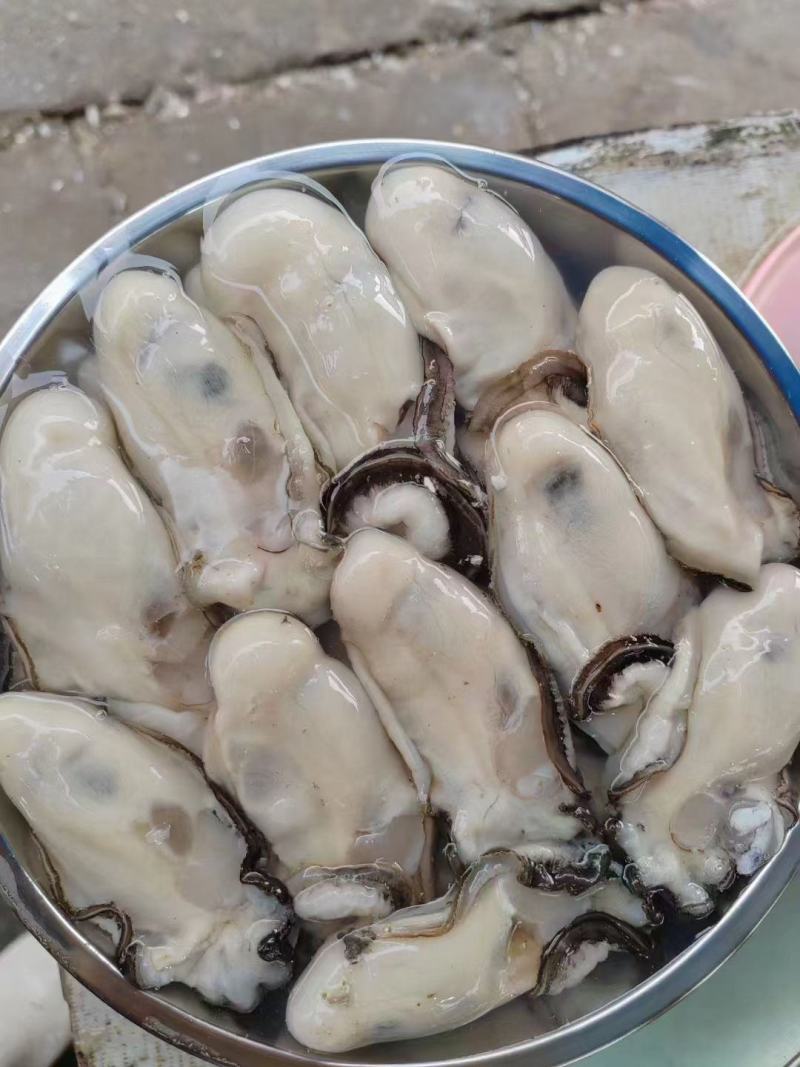 钦州大蚝（天然白蚝，零投料，咸淡水，够肥，口感好）