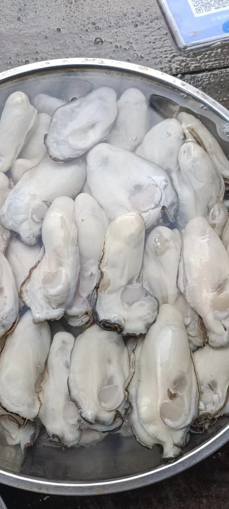 钦州大蚝（天然白蚝，零投料，咸淡水，够肥，口感好）