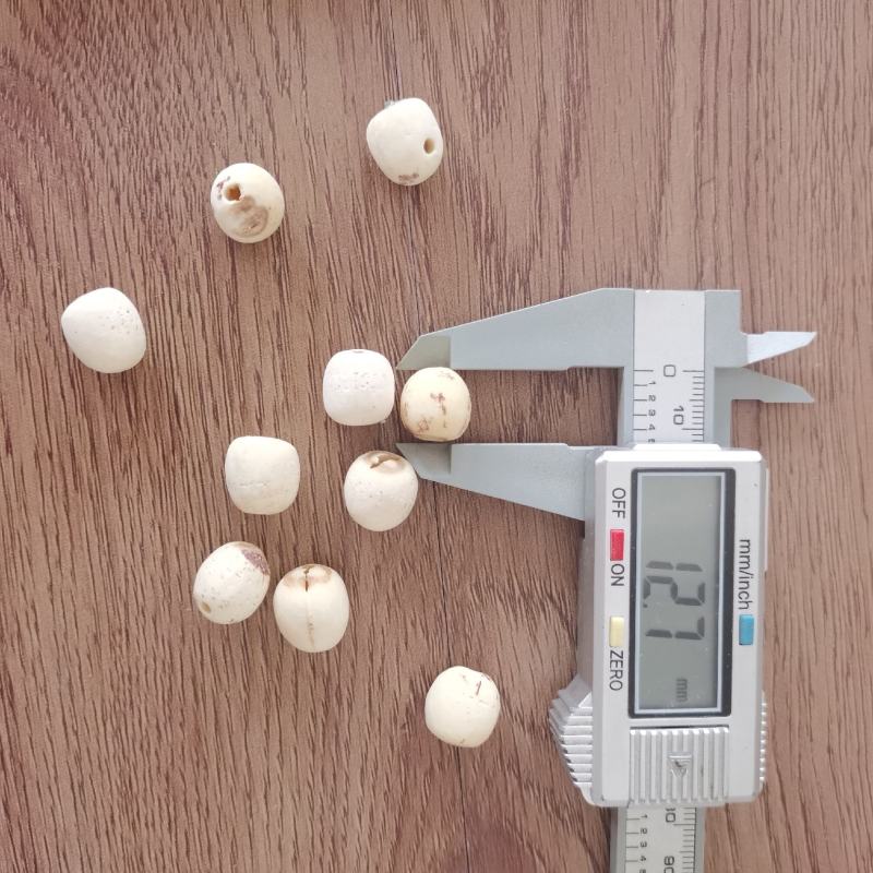 莲子去芯去皮莲子肉无硫熏货干贵一点货值一点手机实物拍