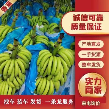 云南高原香蕉：口感细腻丶香糯软甜丶，品质保证丶视频看货