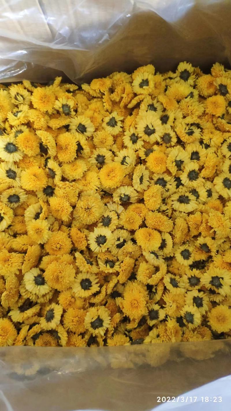 精品菊花茶婺源皇菊现货批发量大从优欢迎联系