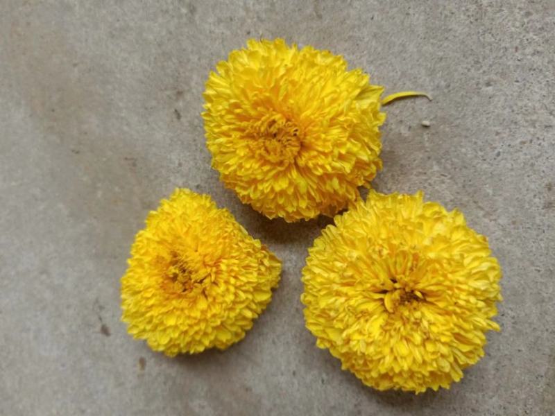 精品菊花茶婺源皇菊现货批发量大从优欢迎联系