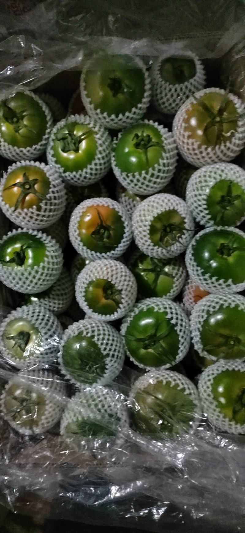 草莓柿子