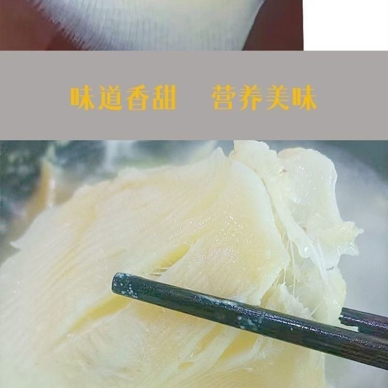 新鲜鳐鱼翅单冻酒店食材