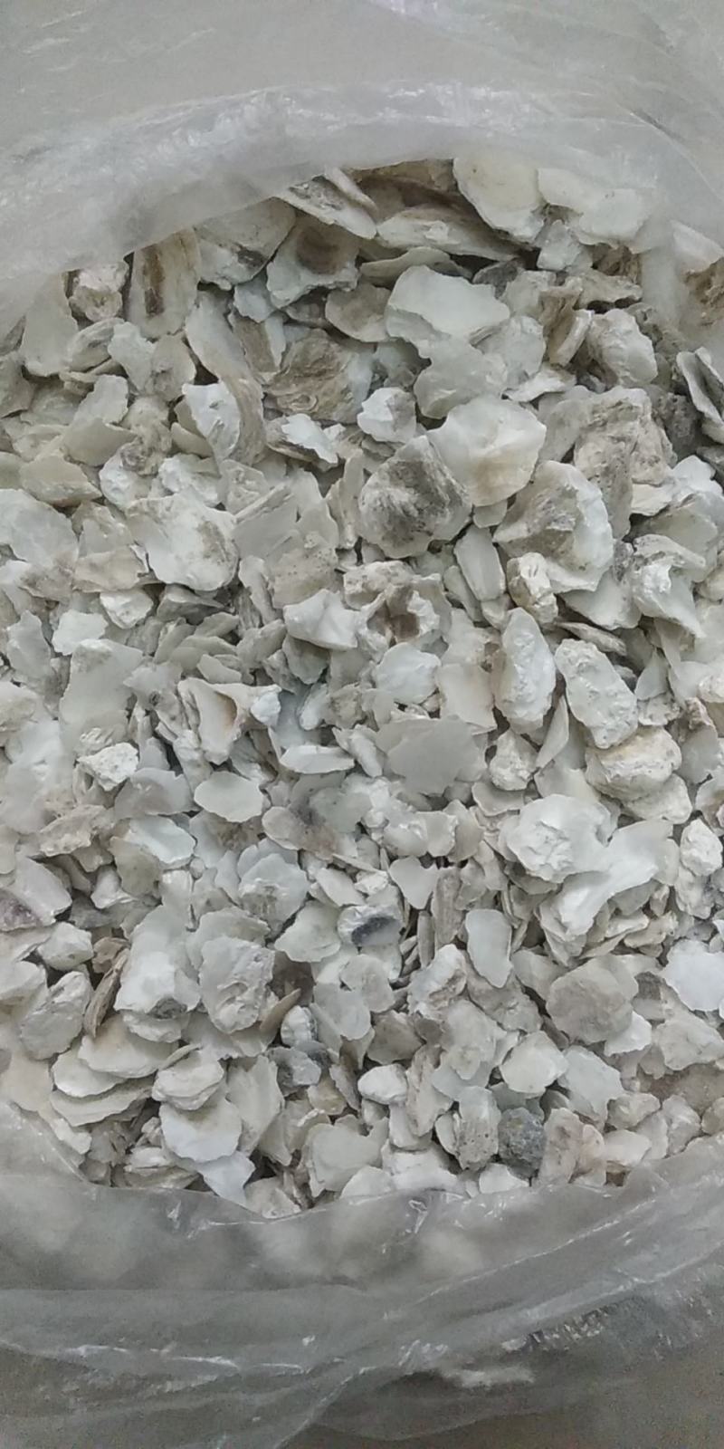 中药材，牡蛎片，生蚝壳片