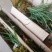 兰花苗兰花草下坡春兰盆景绿植10块一盆批零一件代发货