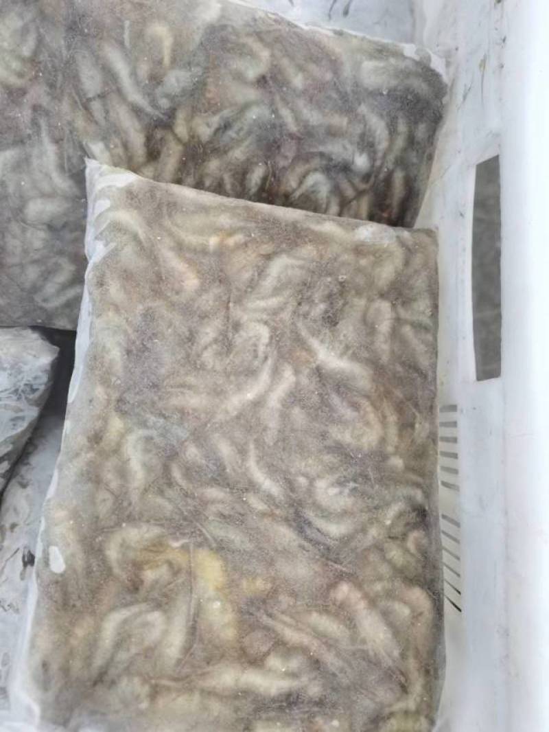 活虾速冻欢迎下单质量保证