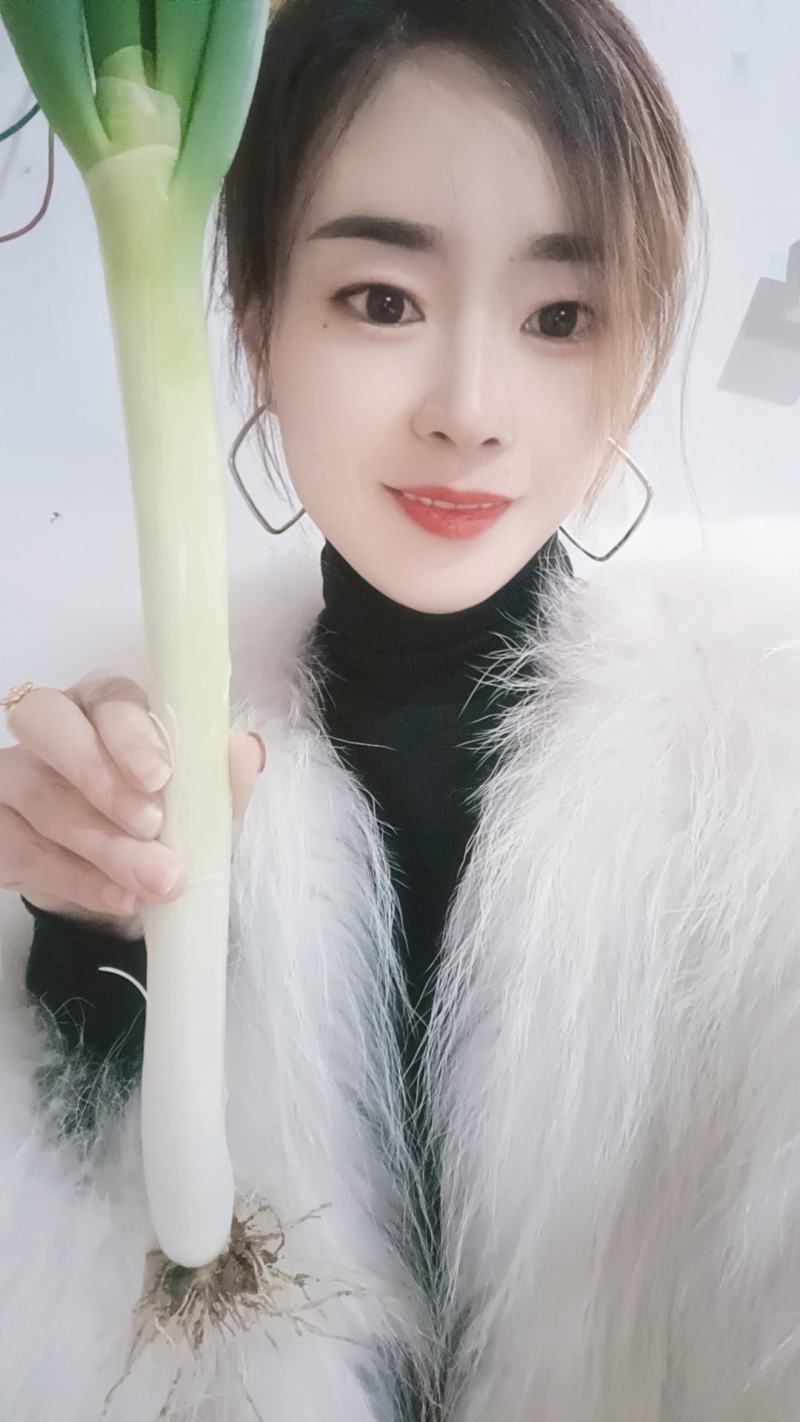 精品铁杆杠葱一手货源品质保证视频看货代发全国