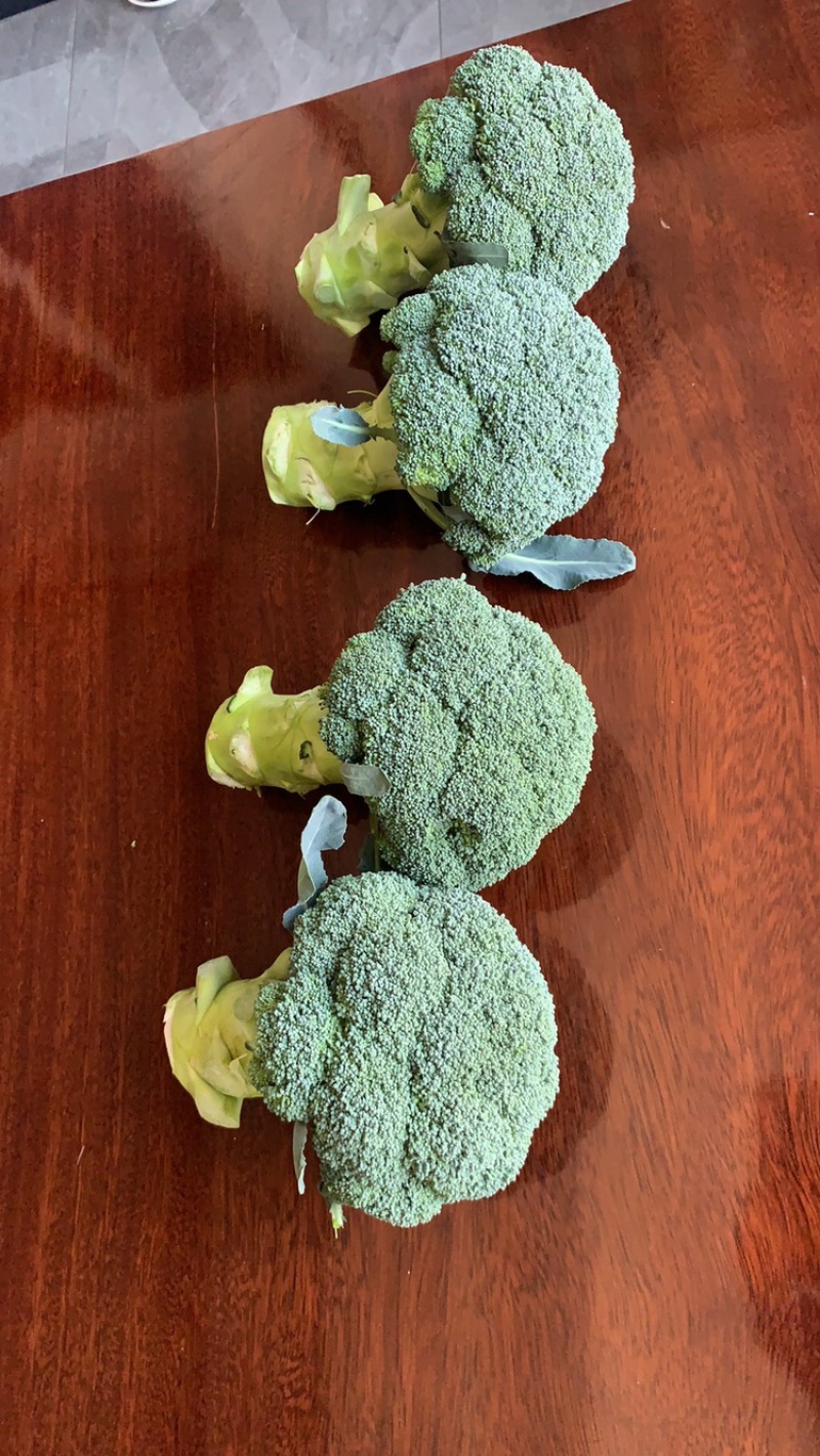 云南高海拔西兰花产地直销品种繁多支持各种车型