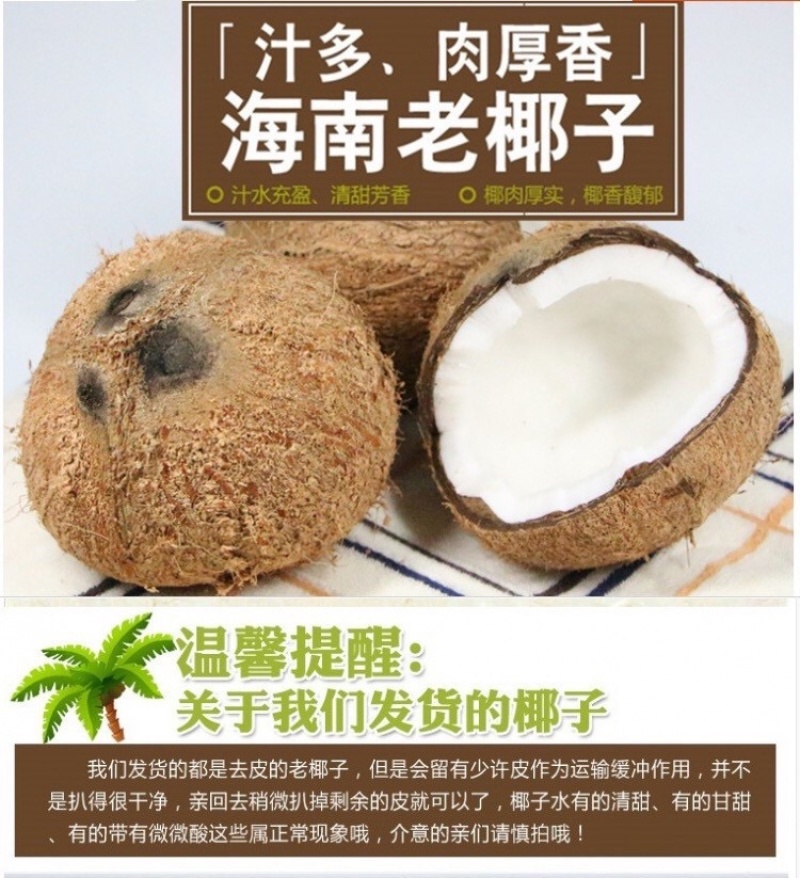 海南琼海阳江带皮老椰子，可育苗，可加工产地直销