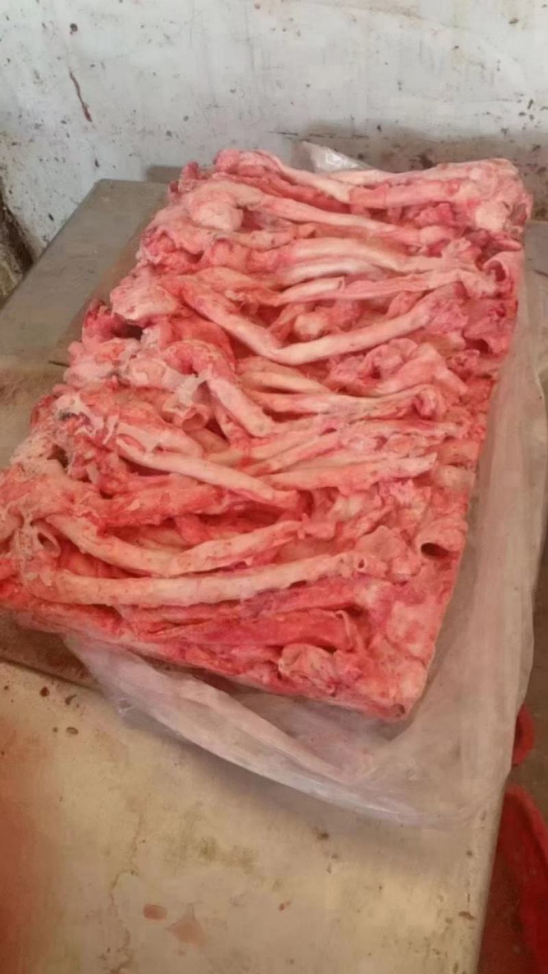 猪心管