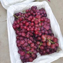 【精选】新疆红提葡萄产地直供走货快质量保证全国发货