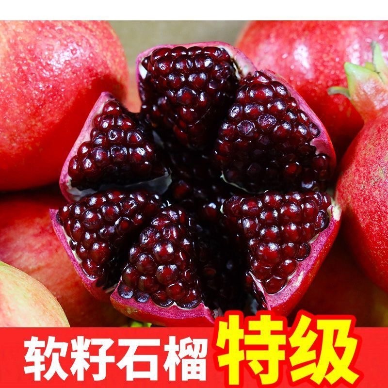 礼泉县精品优质大籽石榴，大量上市，欢迎选购