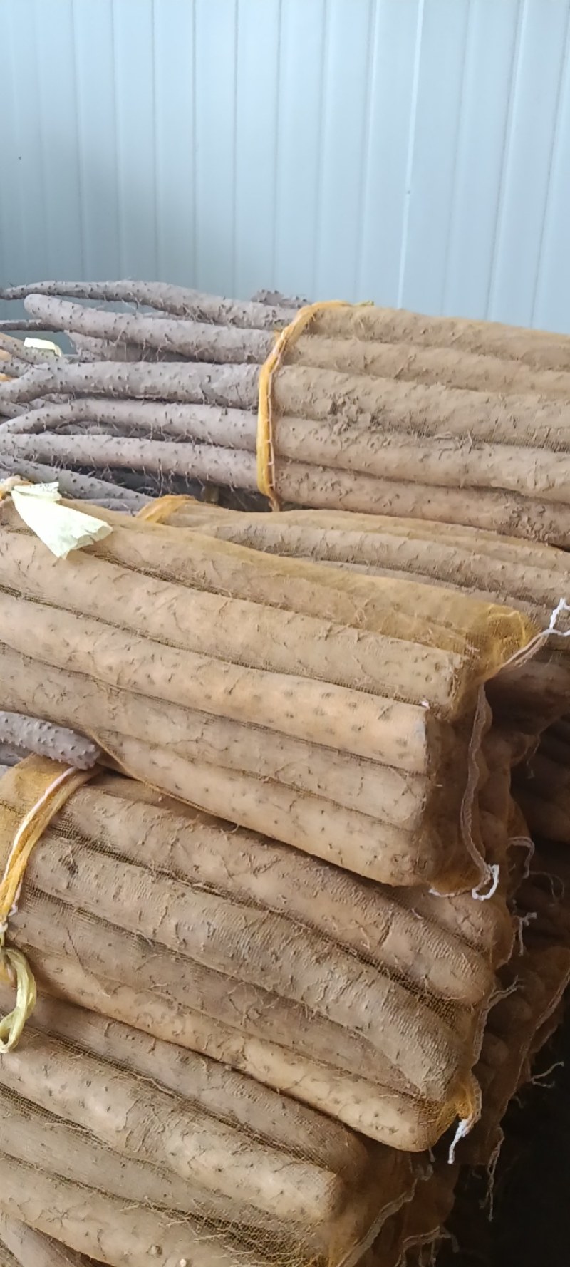 白玉网袋小山药