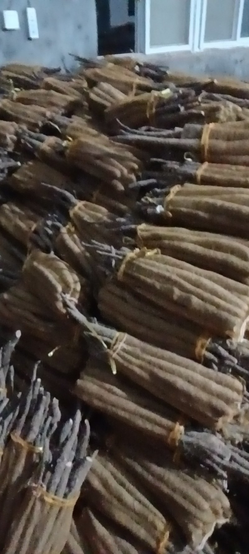 白玉网袋小山药