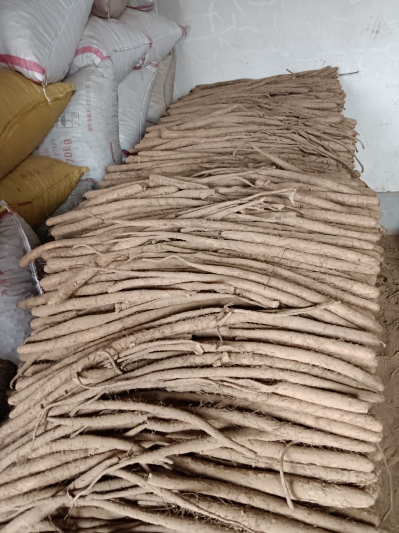 白玉网袋小山药
