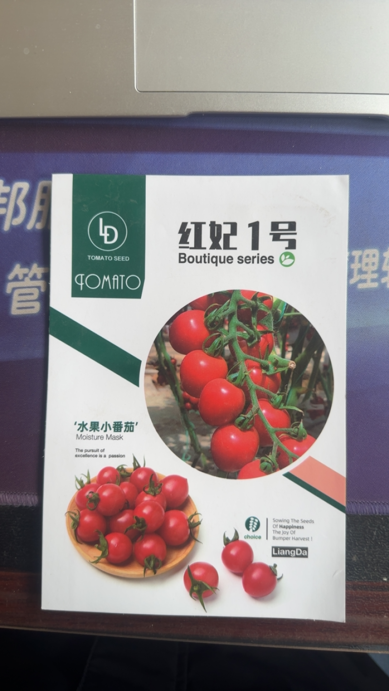 红妃1号小番茄种子水果番茄种子早熟含糖高皮薄酸甜可口