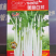 优质嫩脆白芹种子耐抽苔叶厚翠绿肉厚纤维少香味浓