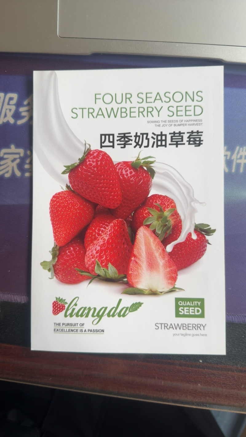 优质四季奶油草莓种子味道甜松软多汁奶油味浓