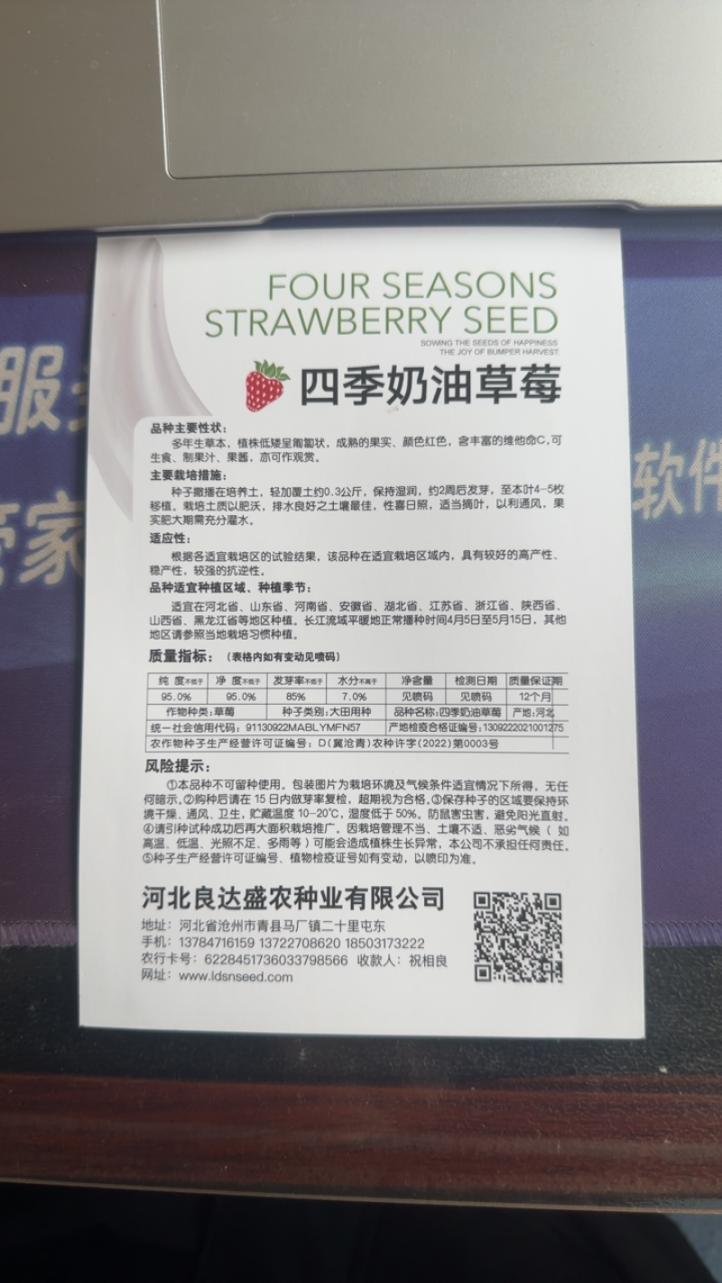 优质四季奶油草莓种子味道甜松软多汁奶油味浓