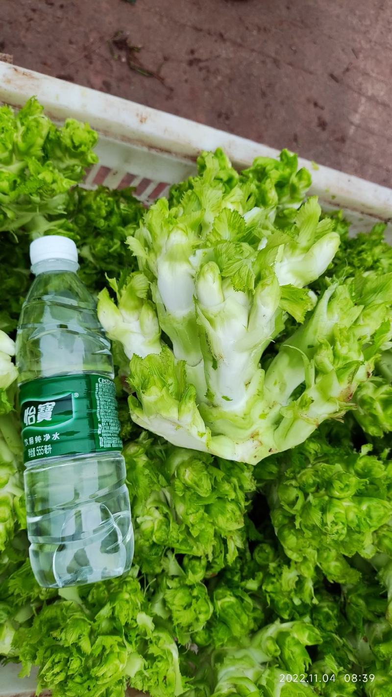 儿菜