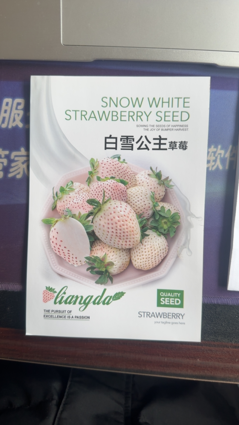 优质白雪公主草莓种子草莓种子奶香味十足口感细腻