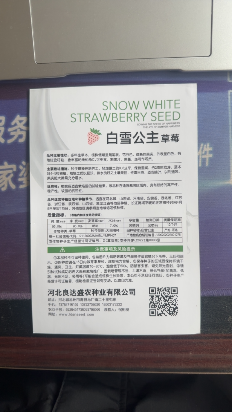 优质白雪公主草莓种子草莓种子奶香味十足口感细腻