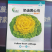 奶油乌塌菜黄芯乌种子耐寒耐抽苔外形美观耐运输