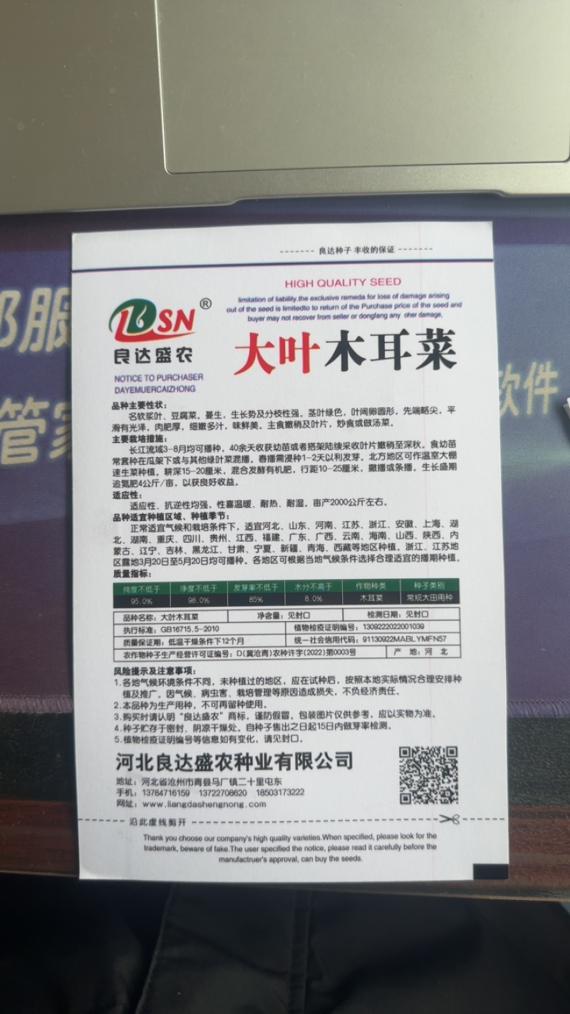 大叶木耳菜种子成活率高产量大抗病性好采收快