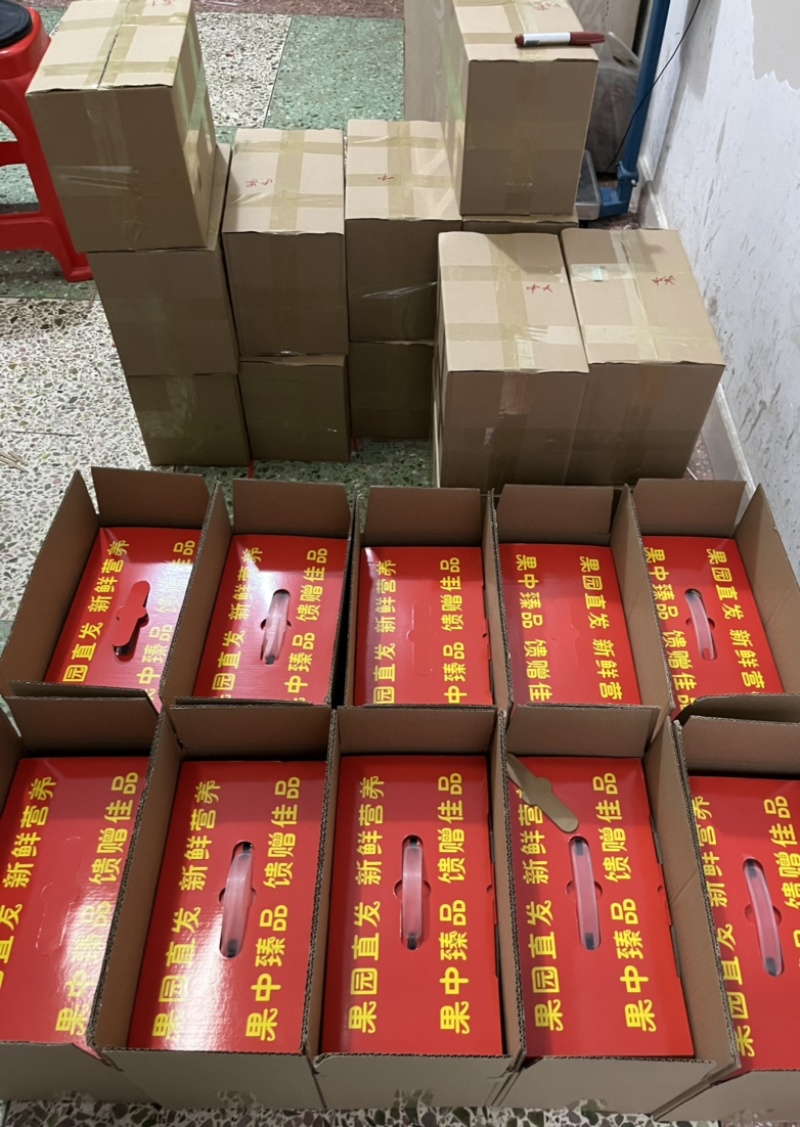 福建福安纽荷尔脐橙赣南脐橙17.5橙子（一件代发）