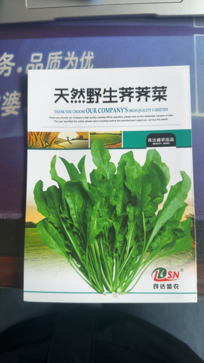 天然野生荠荠菜种子耐热耐旱耐寒地方野菜品种