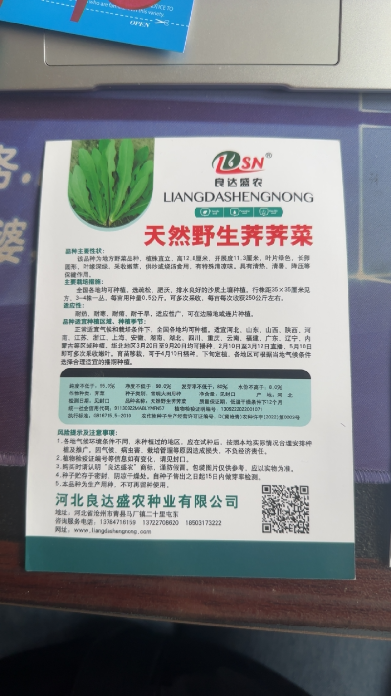 天然野生荠荠菜种子耐热耐旱耐寒地方野菜品种