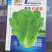 直立生菜孔雀菜汉堡菜良达盛农精心选育提纯出品
