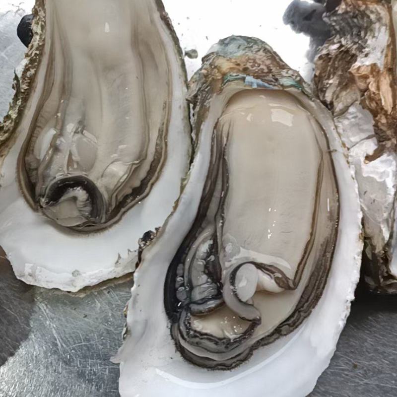 钦州生蚝（热销，地标农产品钦州大蚝，咸淡水海域，高品质）