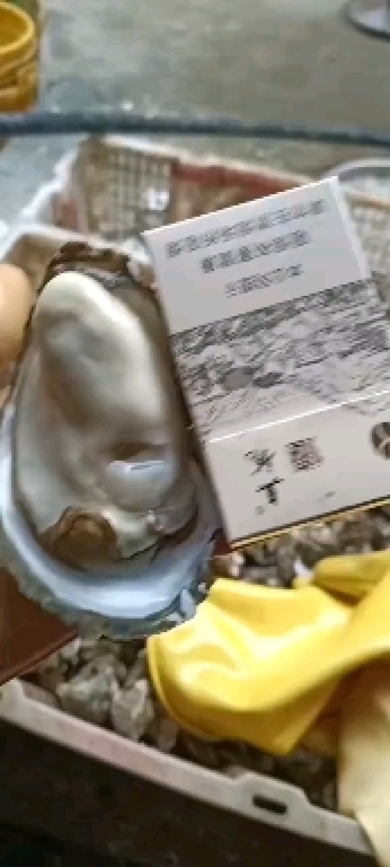 钦州生蚝（热销，地标农产品钦州大蚝，咸淡水海域，高品质）