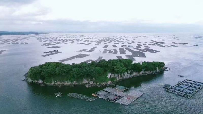 钦州生蚝（热销，地标农产品钦州大蚝，咸淡水海域，高品质）