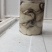 钦州生蚝（热销，地标农产品钦州大蚝，咸淡水海域，高品质）