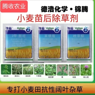 小麦除草剂四元复配，小麦田阔叶杂草