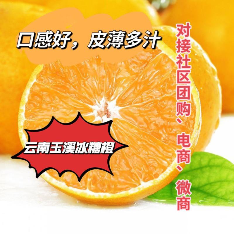 【一件代发】云南冰糖橙，对接全国电商社区团购市场客户